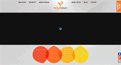 Desktop Screenshot of nayabilisim.com